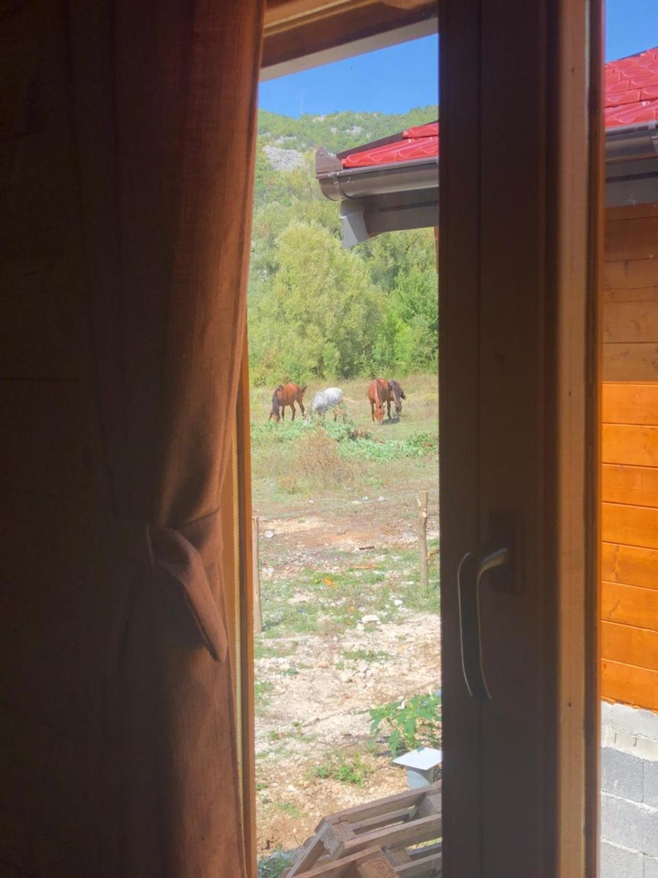 Orahovo Cottages Virpazar Bagian luar foto