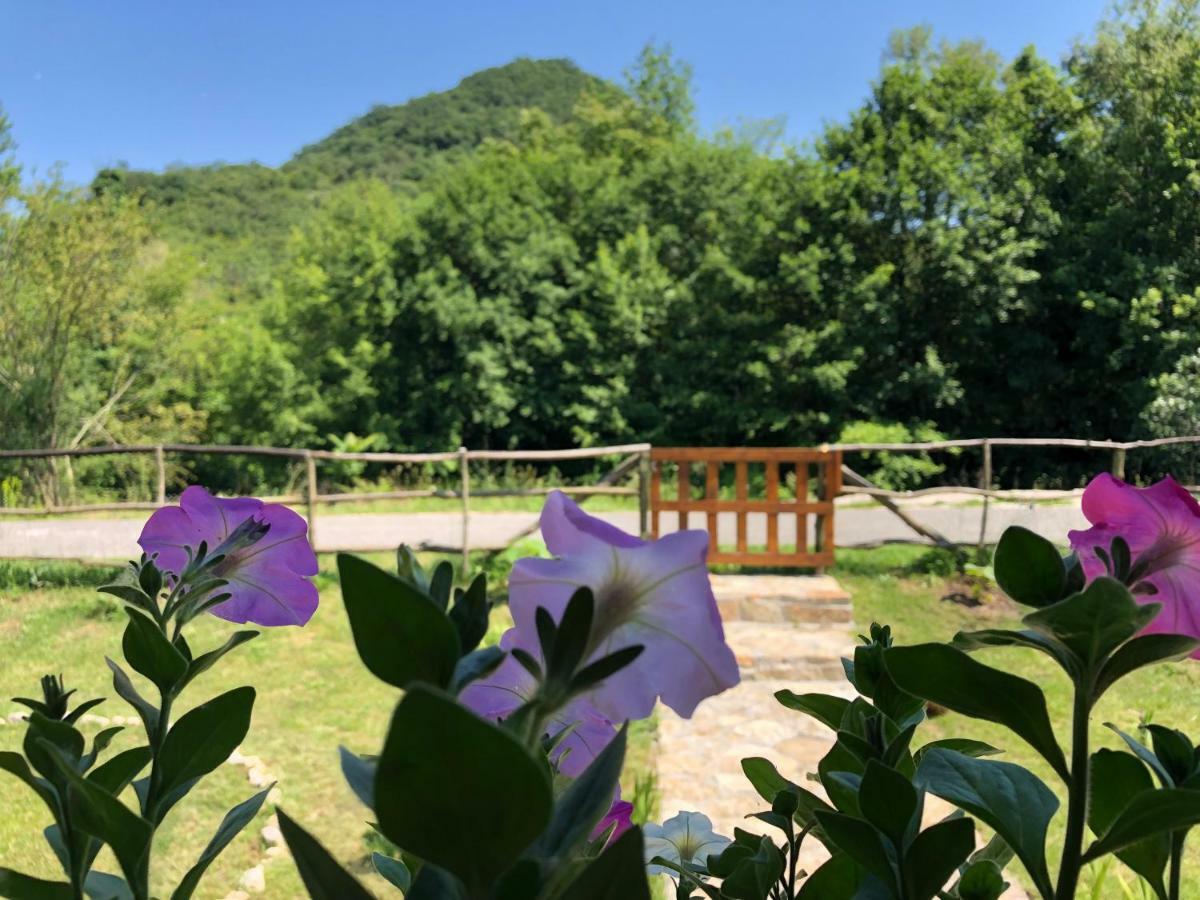 Orahovo Cottages Virpazar Bagian luar foto